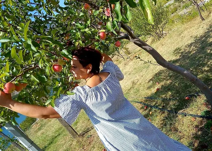 Agroturizem Franceze Hotel Koman
