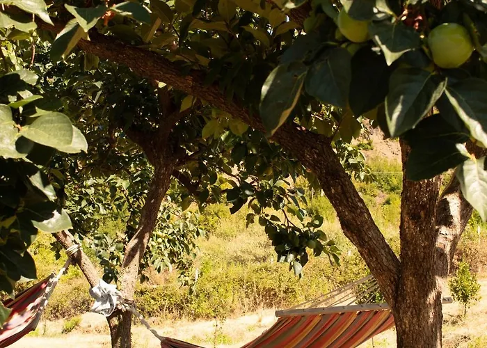 Agroturizem Franceze * Koman