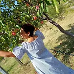 Agroturizem Franceze Hotel Koman