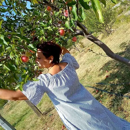 Agroturizem Franceze فندق Koman