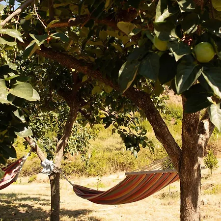 Agroturizem Franceze * Koman